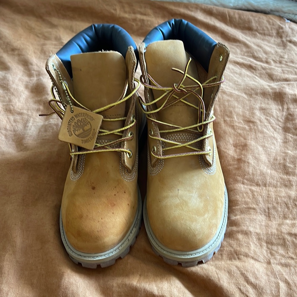 Men's Timberland® Premium 6-Inch Waterproof Boot